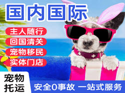 丹东浪头航空快运国际宠物托运 【国